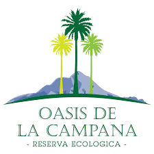 Oasis la Campana